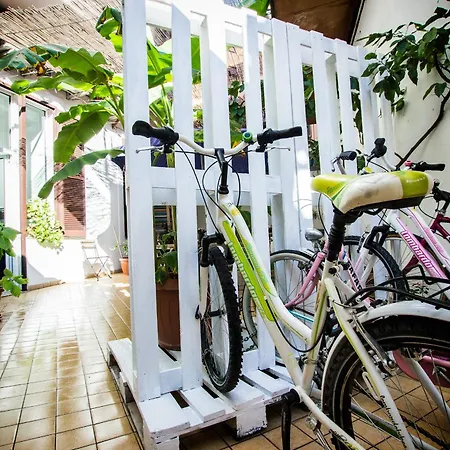 Casa Maplink-2